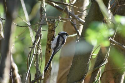 The Power of Modern Education