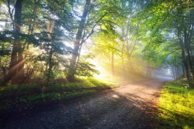 The Future of Education: Embracing Lifelong Learning